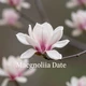 MagnoliaDate logo