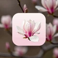 MagnoliaDate logo