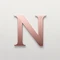 NaomiDate logo